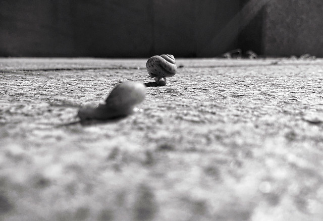 monochrome-beach-sand-people-foot picture material