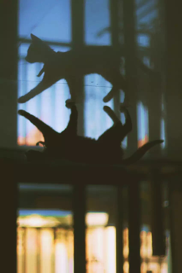 window-light-no-person-people-travel 图片素材