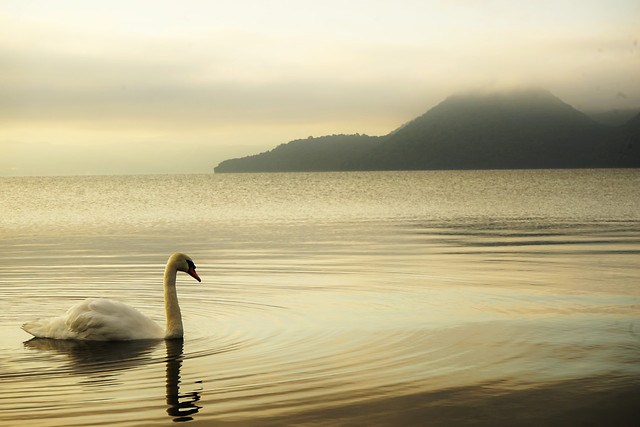 water-sunset-dawn-lake-no-person picture material