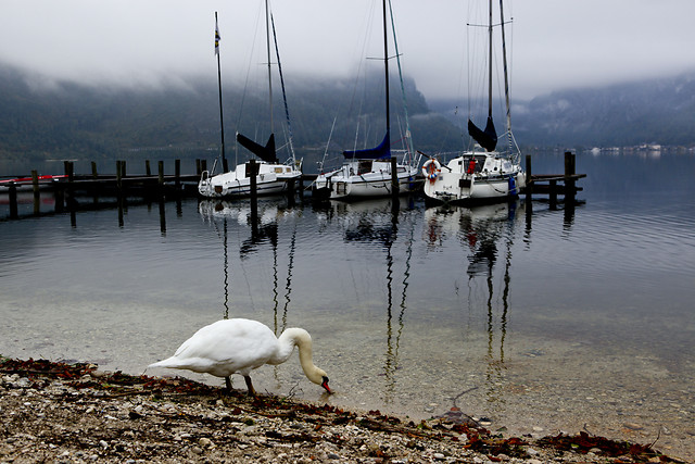 water-lake-sea-reflection-no-person picture material