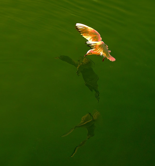 dance-and-shadow 图片素材