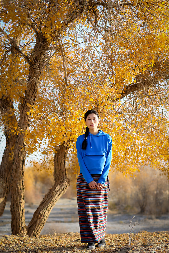 fall-tree-girl-nature-park picture material