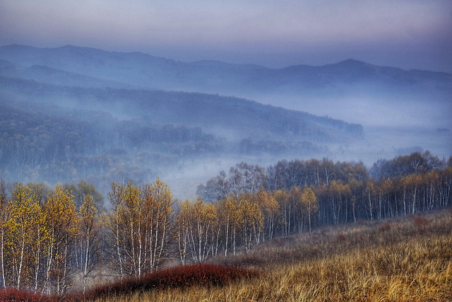 landscape-dawn-tree-fall-no-person 图片素材