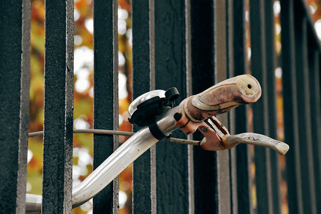 fence-wood-desktop-outdoors-nature 图片素材