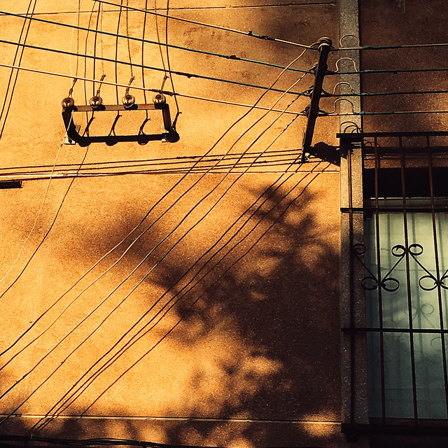 no-person-wood-yellow-wooden-sky 图片素材