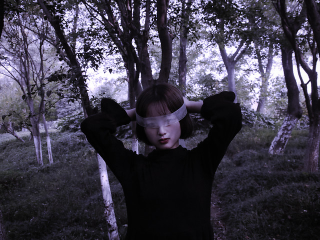 tree-girl-park-people-landscape 图片素材