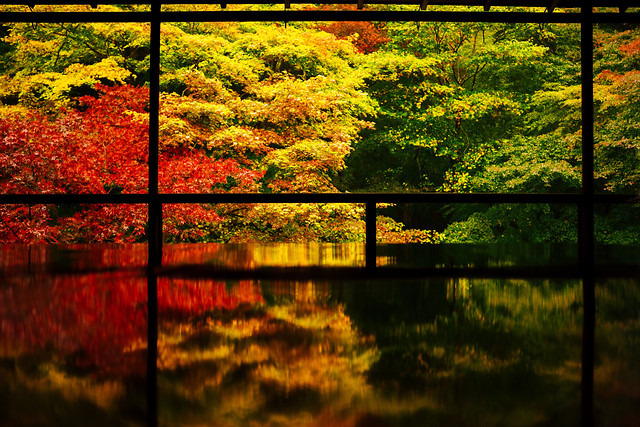 fall-nature-wood-landscape-reflection picture material