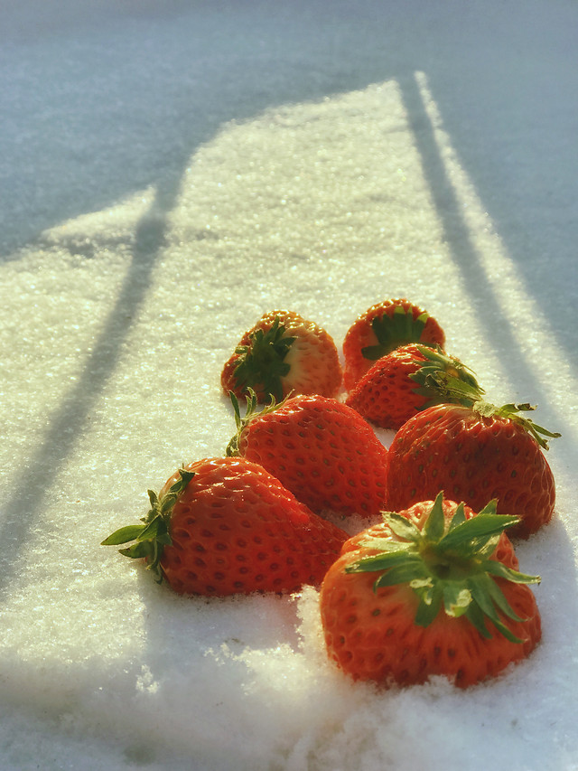 no-person-summer-food-fruit-nature 图片素材