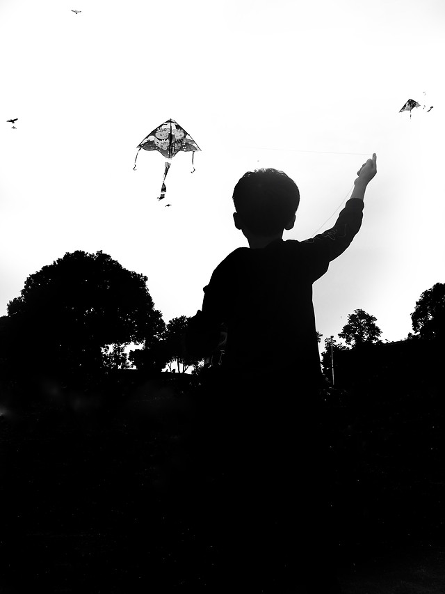 silhouette-monochrome-tree-shadow-people picture material