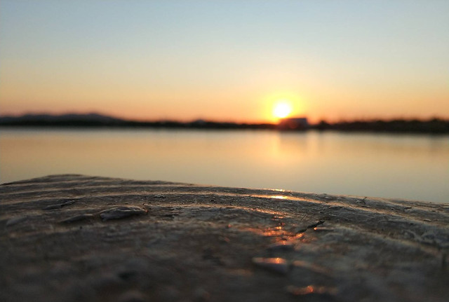 sunset-water-dawn-beach-evening 图片素材