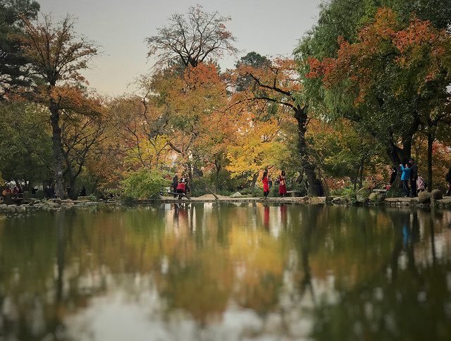 fall-tree-lake-water-reflection 图片素材