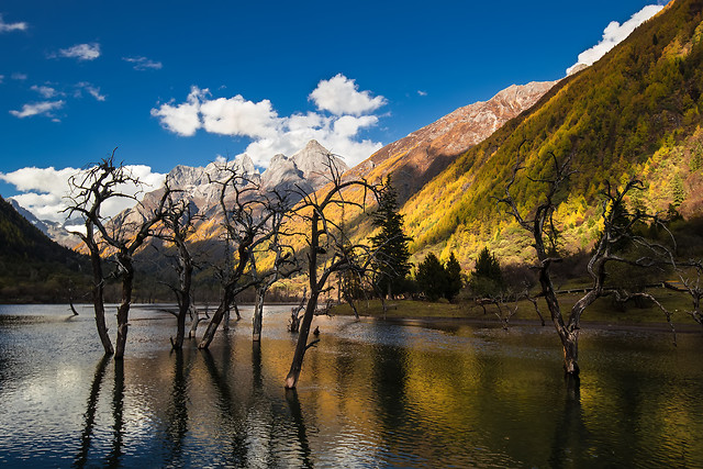 water-nature-lake-landscape-fall 图片素材