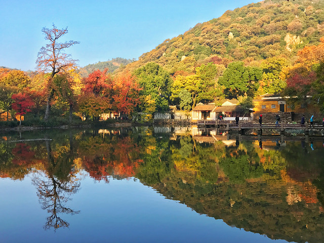 fall-water-lake-river-tree picture material