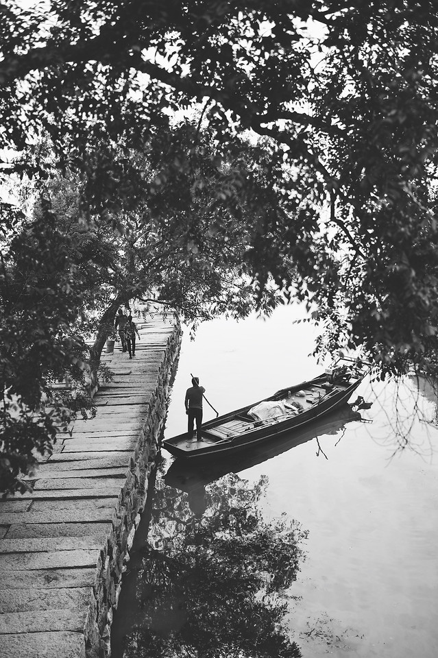 tree-wood-black-white-water-people 图片素材