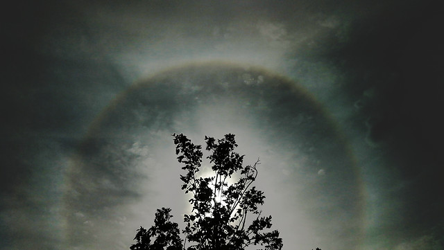 sky-nature-tree-landscape-no-person 图片素材