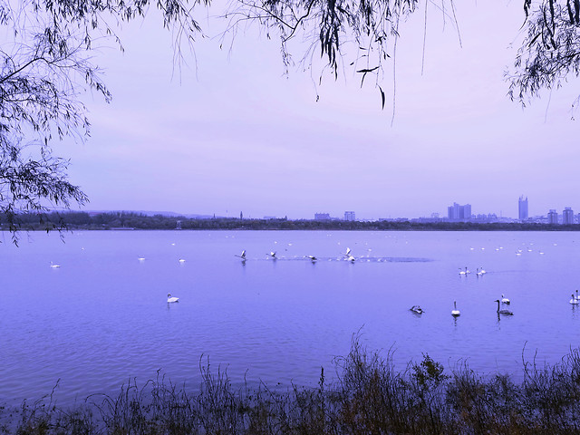 water-no-person-lake-landscape-tree picture material