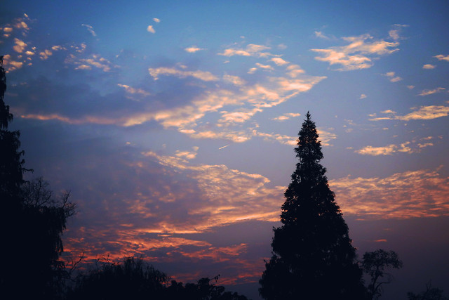 no-person-sunset-sky-evening-dawn picture material
