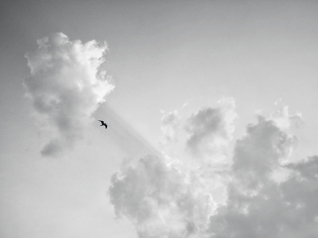 sky-airplane-cloud-landscape-no-person picture material