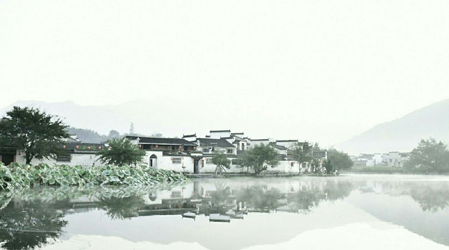 winter-snow-water-tree-nature 图片素材