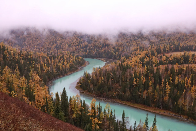 no-person-water-wood-nature-fall 图片素材