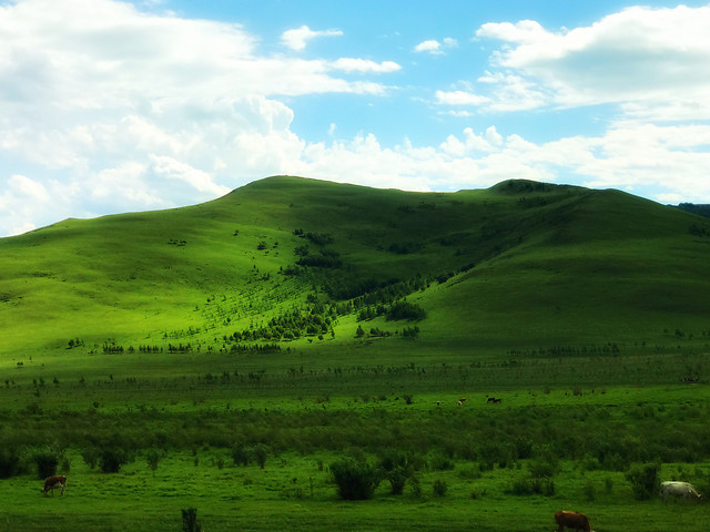 no-person-landscape-grassland-outdoors-nature picture material