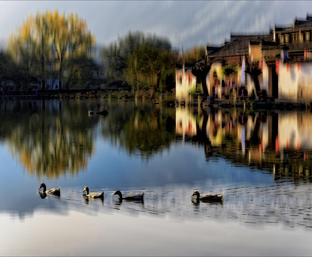reflection-water-lake-river-outdoors picture material