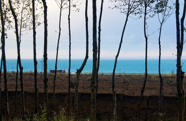 no-person-water-nature-landscape-tree 图片素材