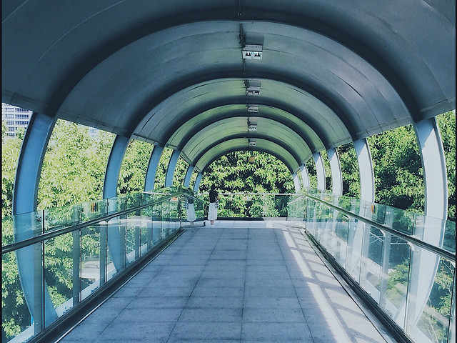 no-person-bridge-architecture-perspective-travel picture material