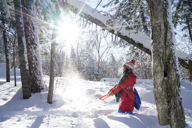 snow-winter-cold-ice-wood 图片素材