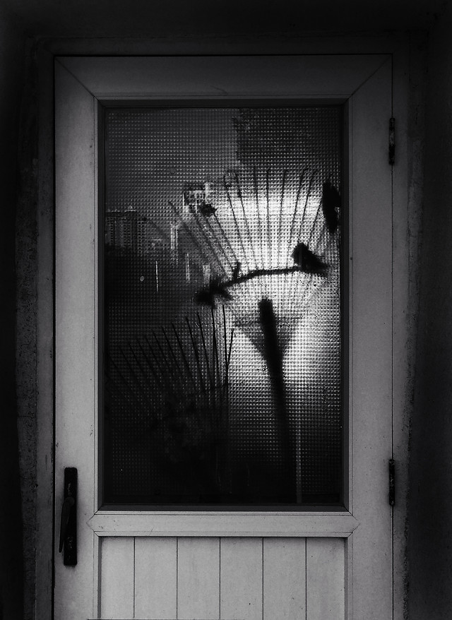 monochrome-window-people-black-door picture material