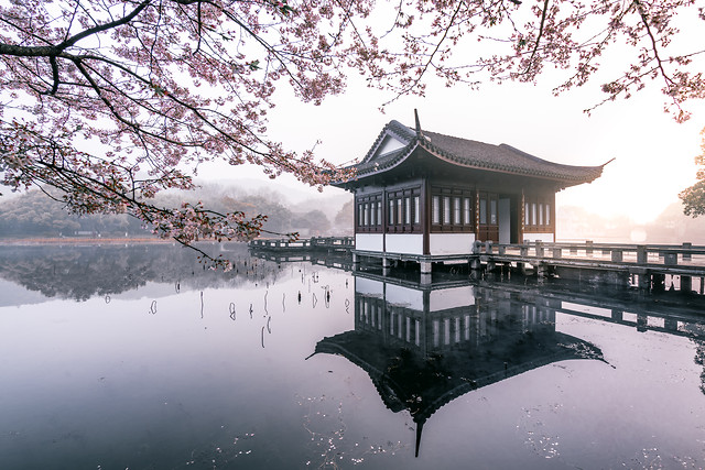 no-person-tree-reflection-water-lake picture material