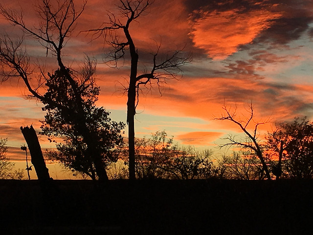 sunset-no-person-dawn-tree-sky picture material