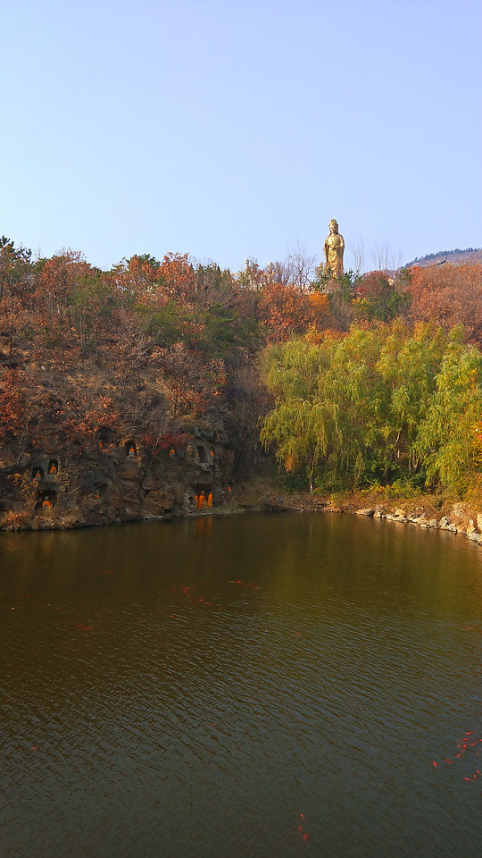 water-tree-no-person-lake-reflection 图片素材