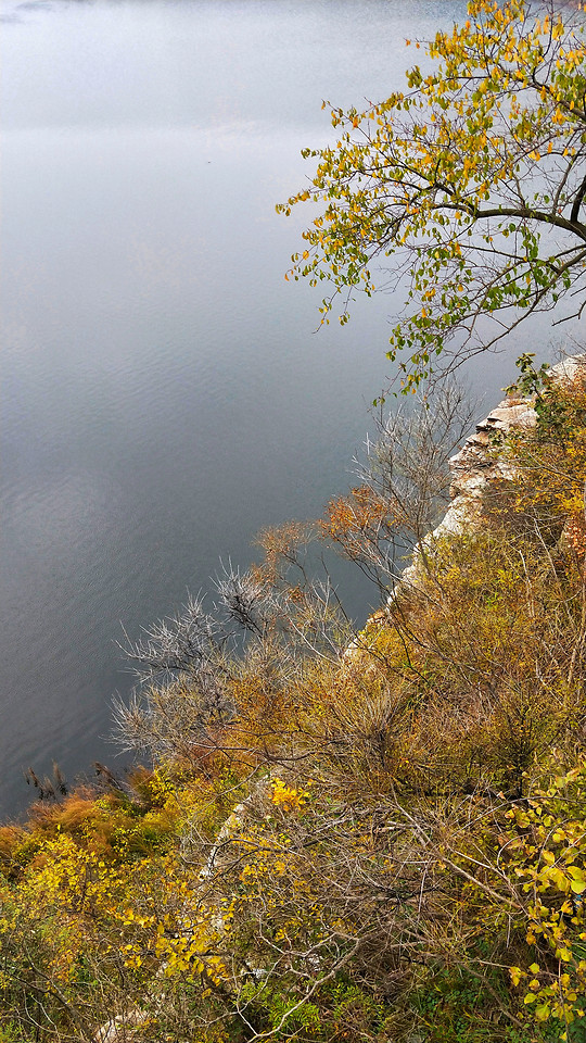 fall-tree-leaf-nature-no-person 图片素材