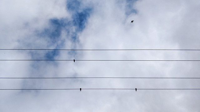 sky-high-wire-cloud-no-person picture material