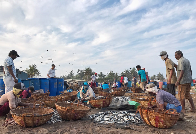 people-basket-group-fisherman-adult 图片素材