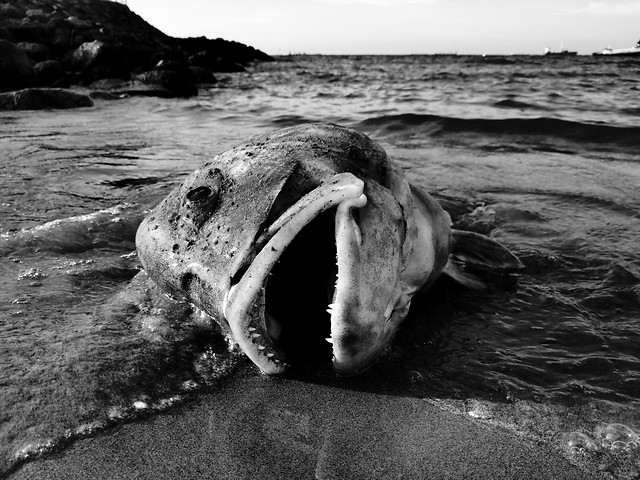 water-beach-sea-ocean-no-person 图片素材