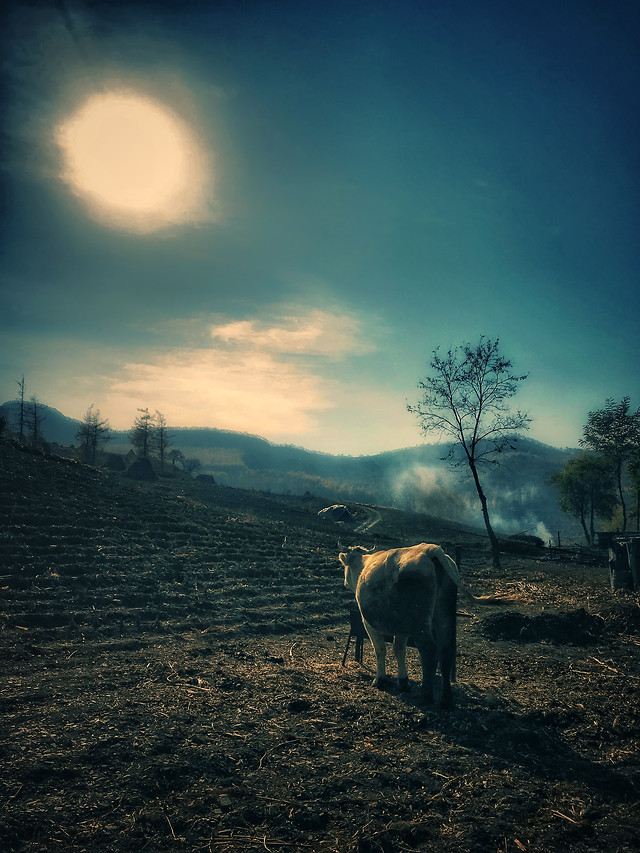 no-person-sky-sunset-dawn-outdoors 图片素材