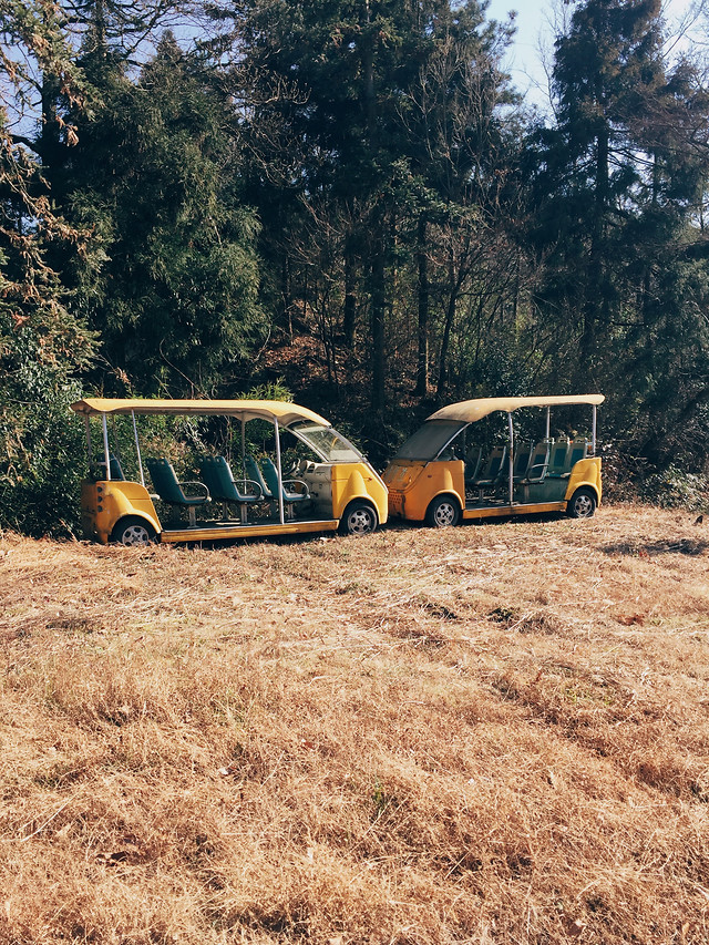 motor-vehicle-landscape-vehicle-car-nature 图片素材