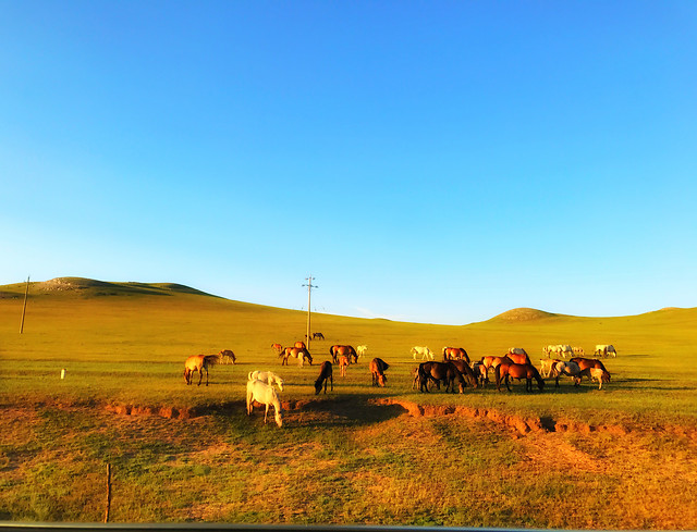 landscape-sky-grassland-nature-travel 图片素材