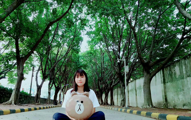 nature-tree-green-wood-park 图片素材