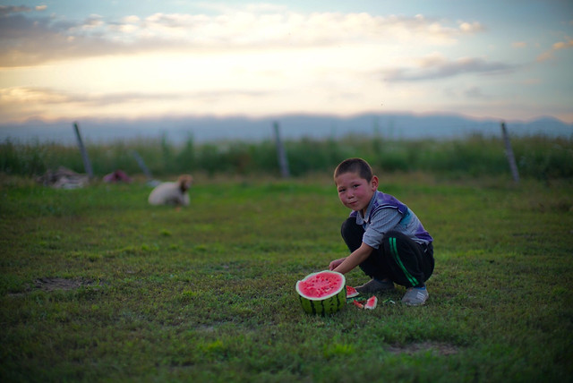 child-grass-girl-photograph-nature 图片素材