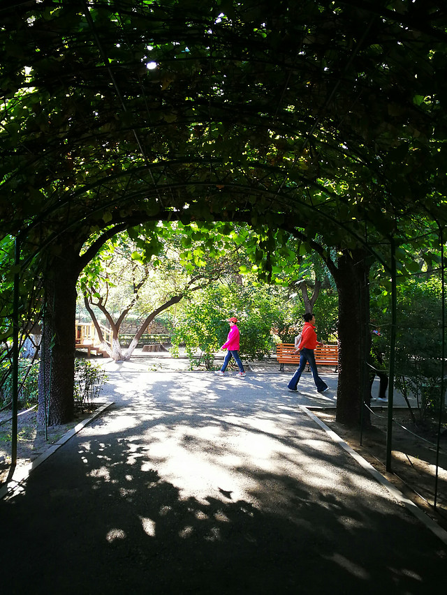 tree-people-light-landscape-nature 图片素材