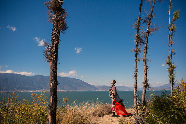 no-person-tree-outdoors-nature-sky 图片素材