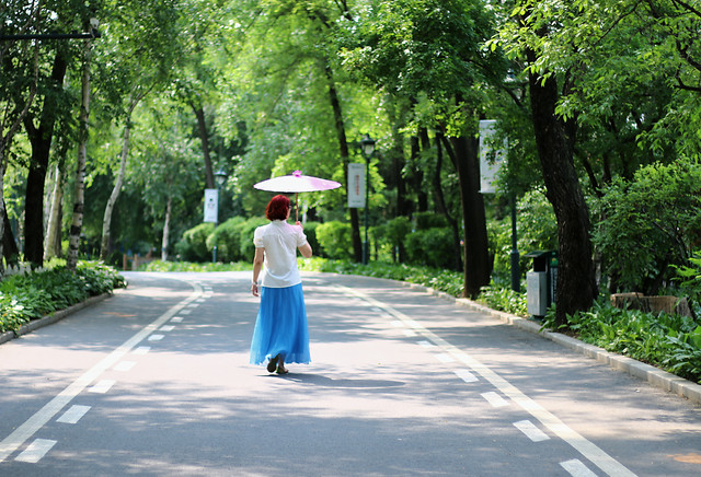 road-street-green-tree-guidance 图片素材