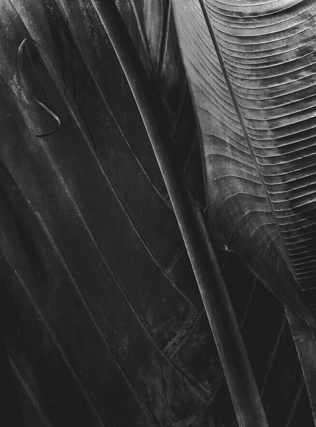 light-monochrome-line-no-person-abstract 图片素材