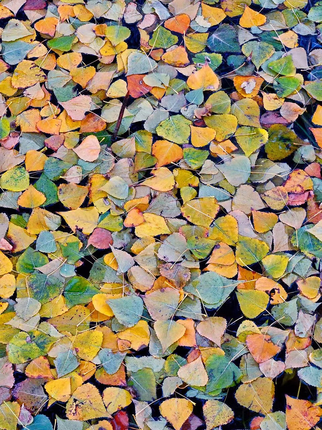 pattern-texture-desktop-abstract-color picture material