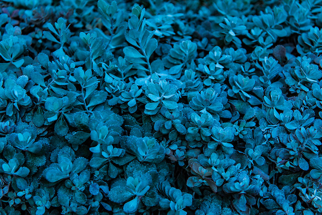 texture-desktop-pattern-blue-nature 图片素材