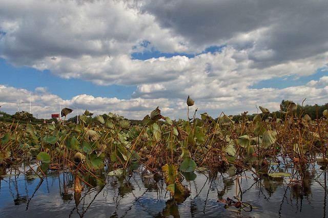 landscape-sky-water-nature-agriculture picture material