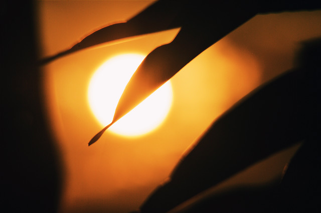 flame-insubstantial-abstract-blur-art picture material